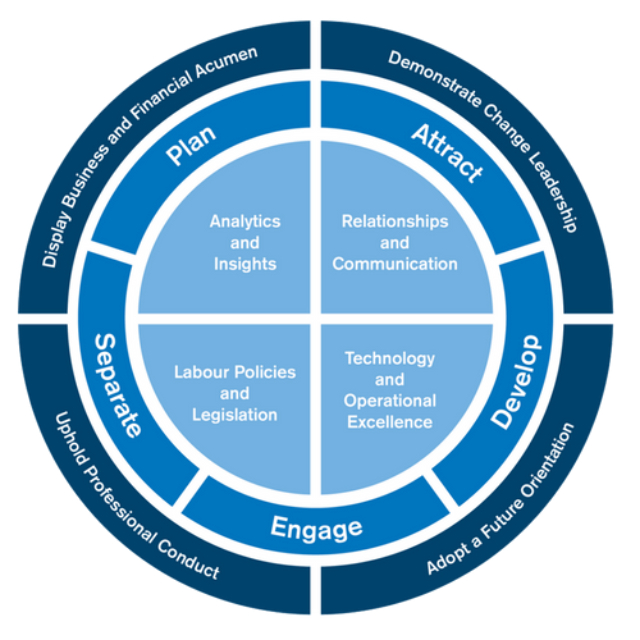 Desired HR Attributes and Skills in Demand